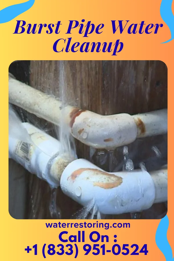Burst Pipe Water Cleanup in Battlefield, MO
