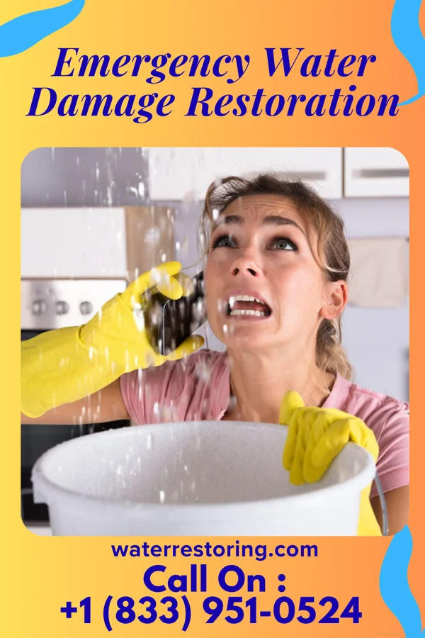 Emergency Water Damage Restoration in Battlefield, MO