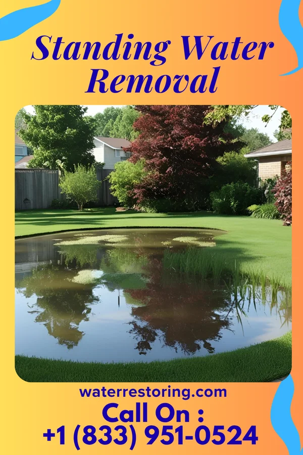 Standing Water Removal in Battlefield, MO